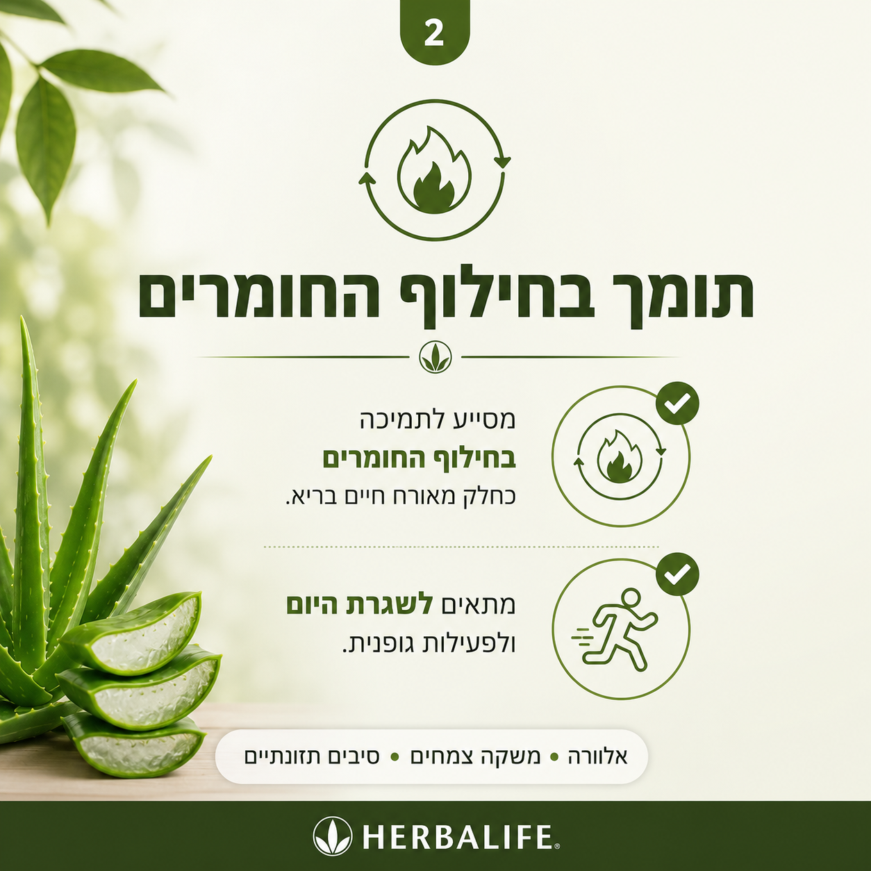 קוקטייל החיטוב